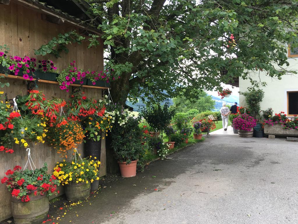 Apartment With Garden Garden Furniture Bbq 塔克森巴赫 外观 照片