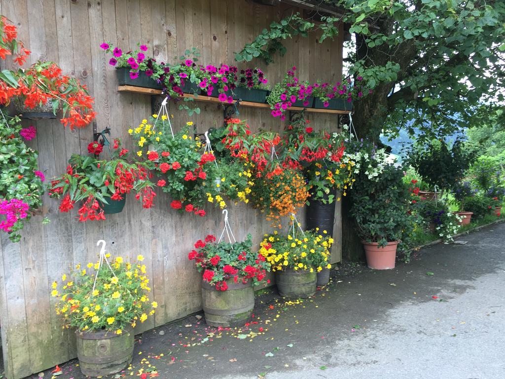 Apartment With Garden Garden Furniture Bbq 塔克森巴赫 外观 照片
