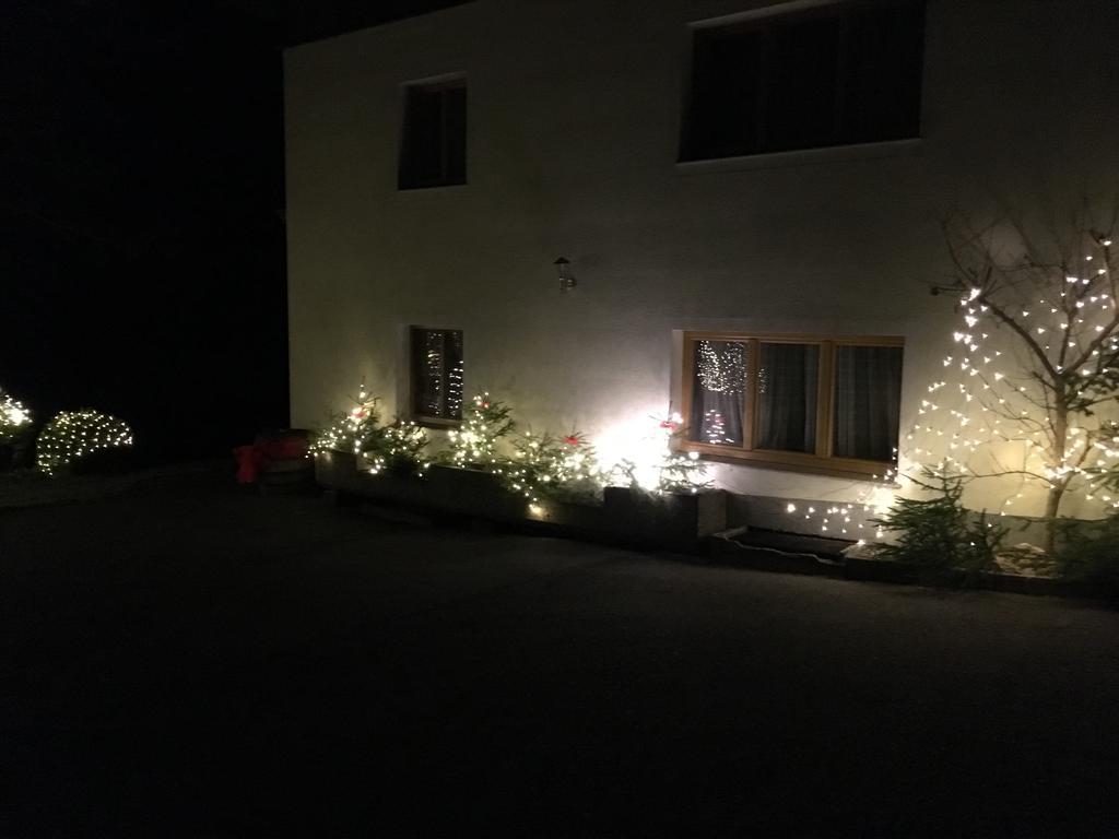 Apartment With Garden Garden Furniture Bbq 塔克森巴赫 外观 照片